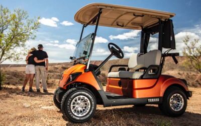 Questions You Should Ask If You Own A Golf Cart
